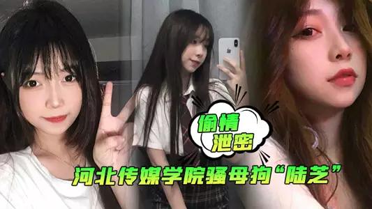 【偷情泄密】河北传媒学院骚母狗“陆芝”背着男友和其兄弟进行3P前后夹击淫荡十足!